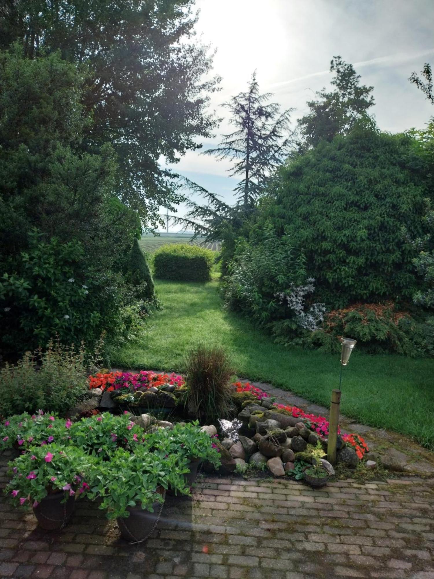 Villa Wad Fijn à Sexbierum Extérieur photo