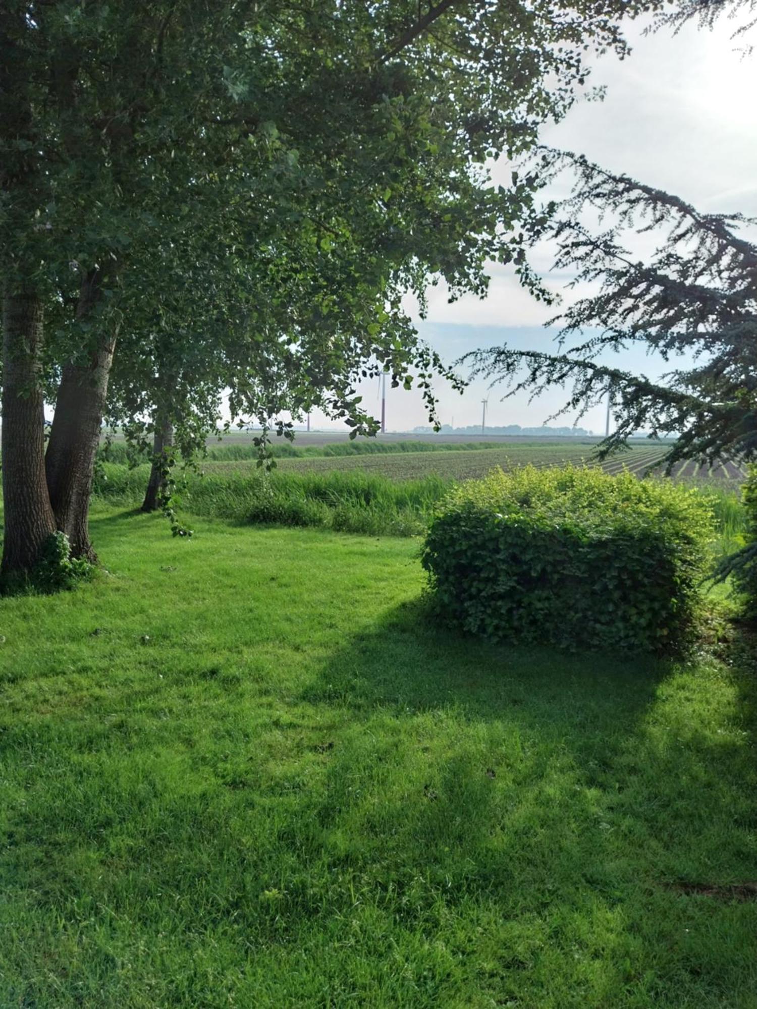 Villa Wad Fijn à Sexbierum Extérieur photo